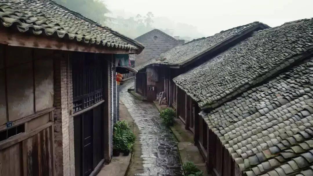 小猫钓鱼开船版最新版下载